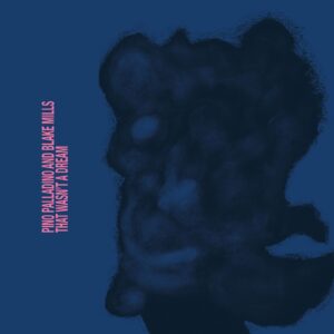 Pino Palladino Blake Mills That Wasnt a Dream